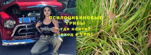 круглые Абаза