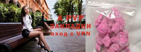 СК Абинск