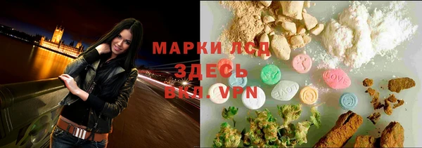 СК Абинск