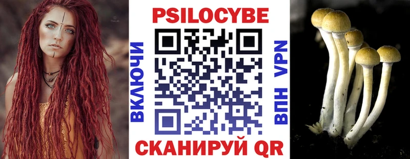 Псилоцибиновые грибы Magic Shrooms  darknet состав  Кумертау  kraken вход 